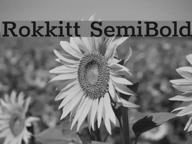 Rokkitt SemiBold Font examples