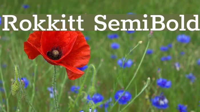 Rokkitt SemiBold Font examples