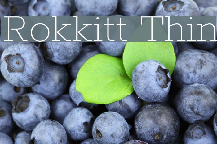 Rokkitt Thin Font examples