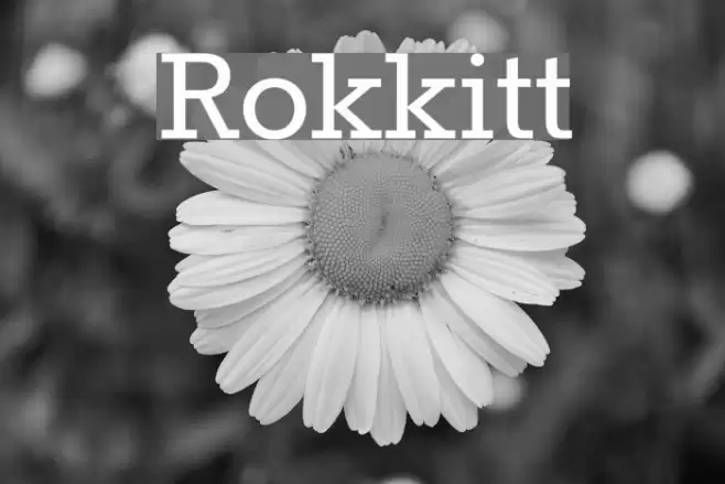 Rokkitt Font examples