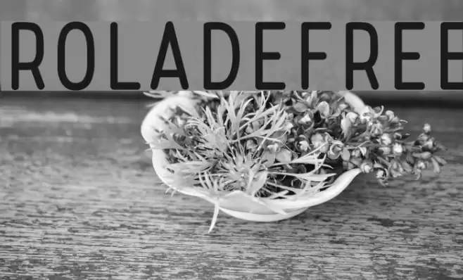 RoladeFree Font examples