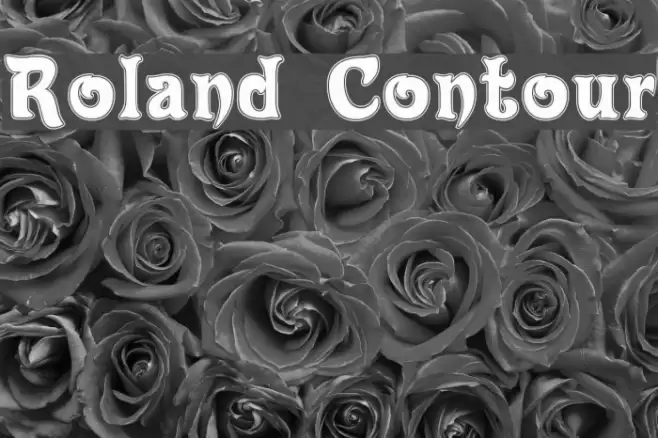 Roland Contour Font examples