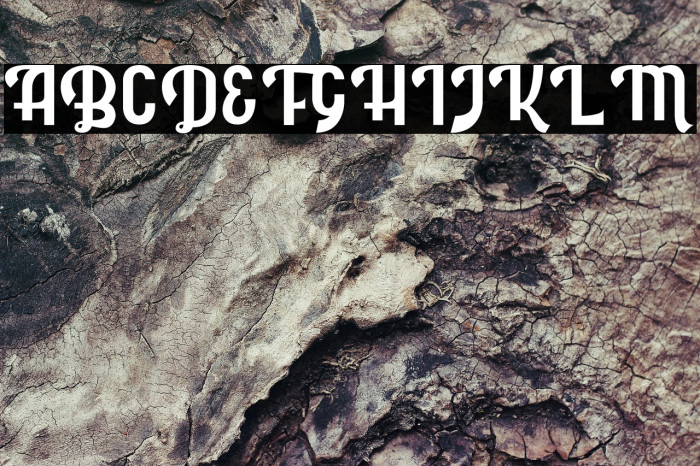 Rolanda [Demo] Example 3