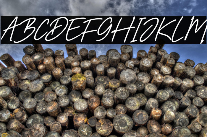 Rolanda Story Italic Example 3