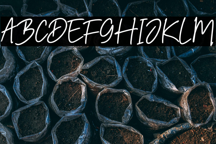 Rolanda Story Example 1