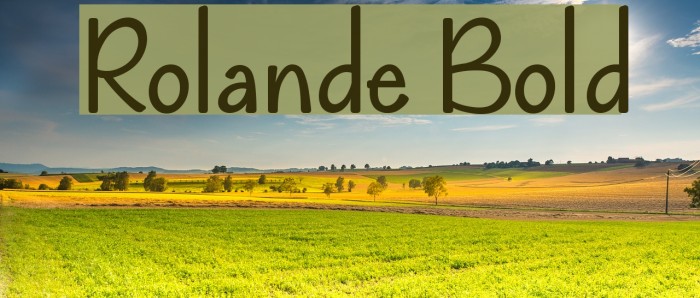 Rolande Bold Font examples