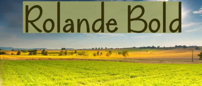 Rolande Bold Example 1
