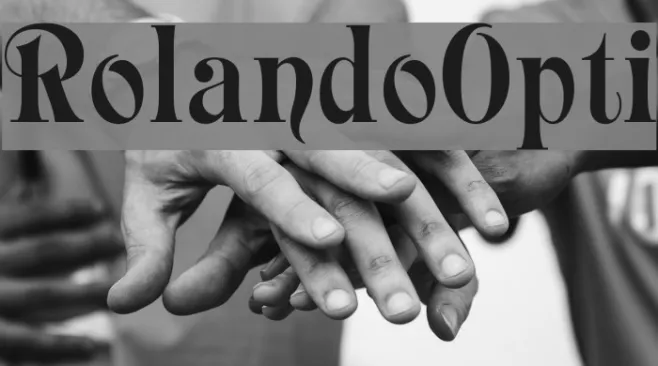 RolandoOpti Example 1