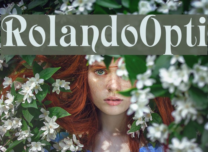 RolandoOpti Font examples