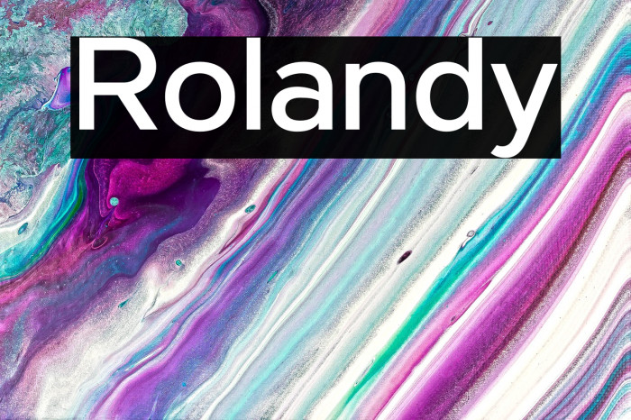 Rolandy Example 1