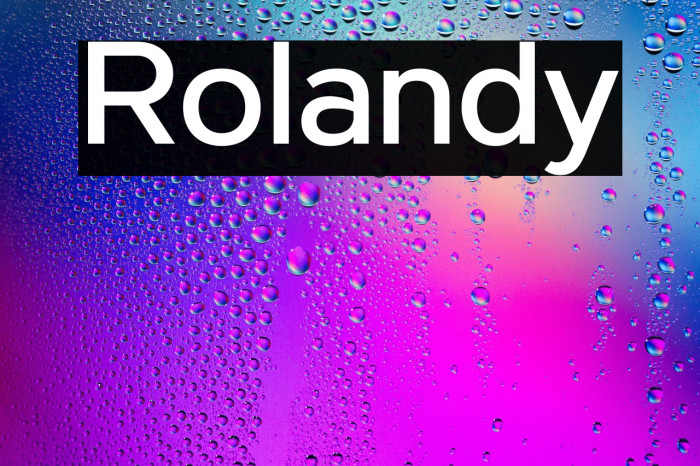 Rolandy Example 2