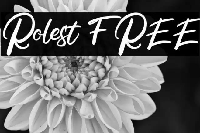 Rolest FREE Font examples