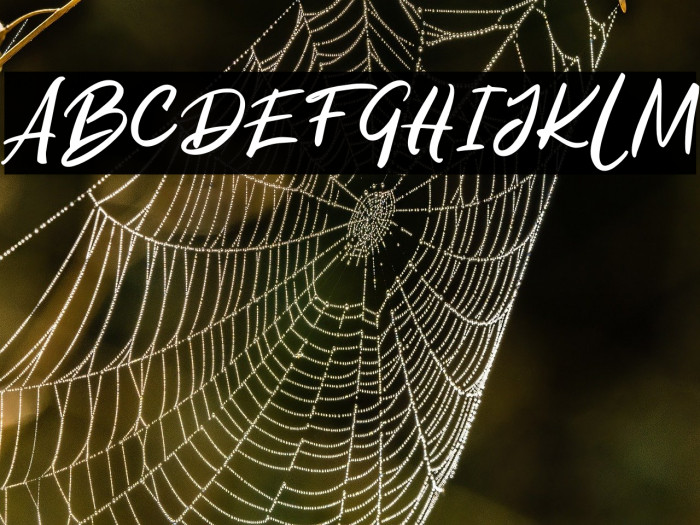 RolestFREE Example 2