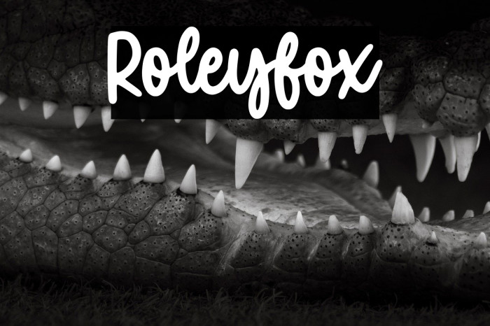 Roleyfox Example 3