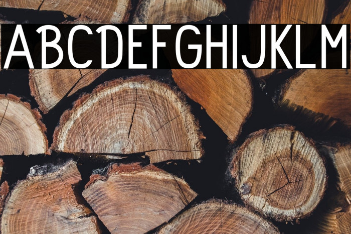 Rolhausen-Regular Example 1