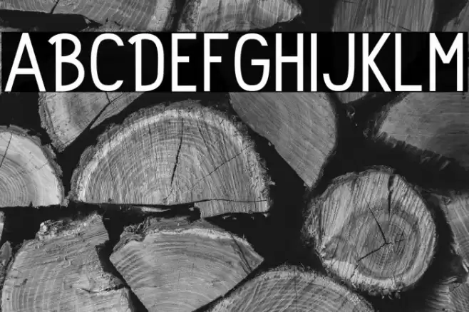 Rolhausen-Regular Font examples