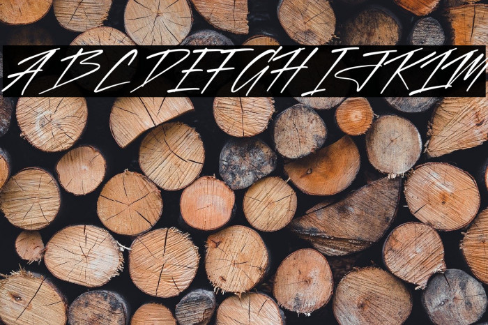 Rolingone Italic Example 2