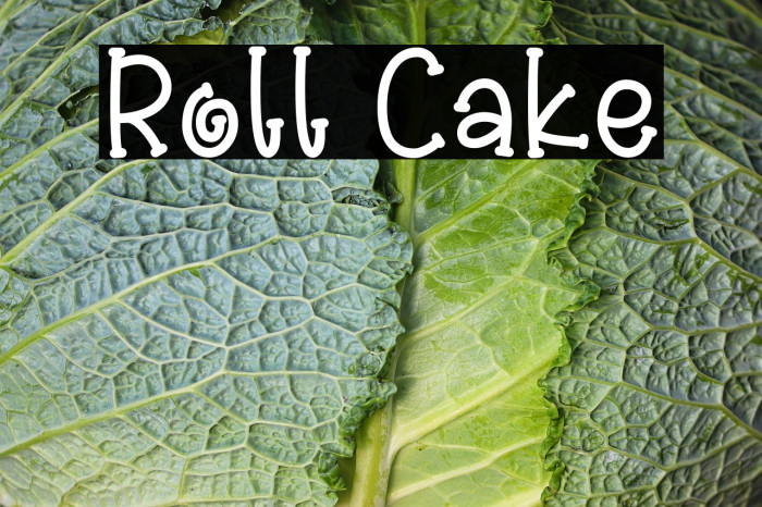 Roll Cake Example 2
