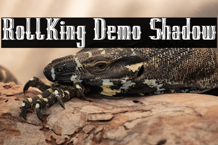 RollKing Demo Shadow Example 1