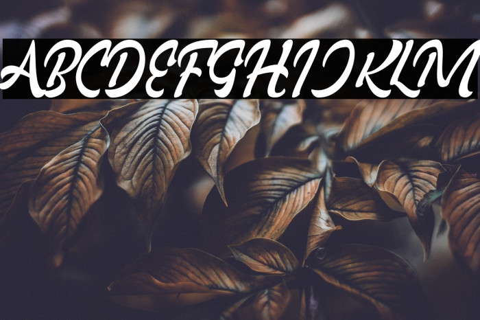 Rollade Ballado Example 2