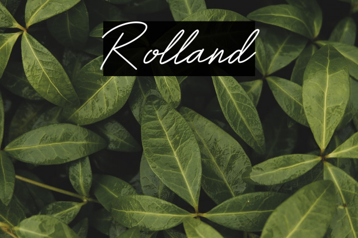 Rolland Example 1