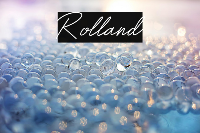 Rolland Example 3
