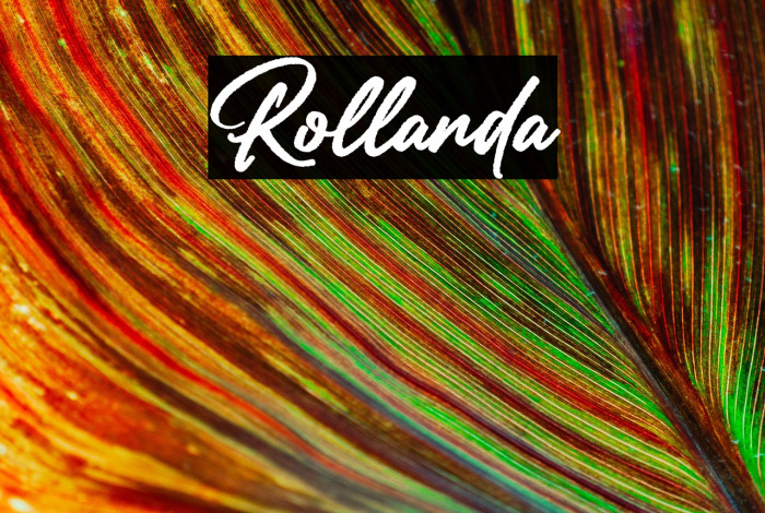 Rollanda Example 1