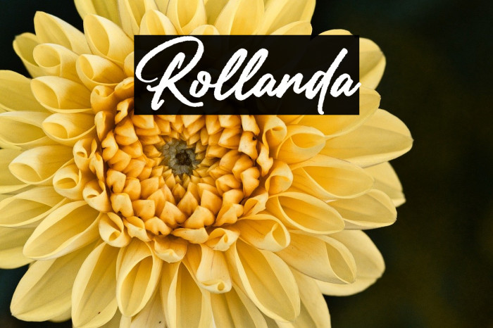 Rollanda Example 2