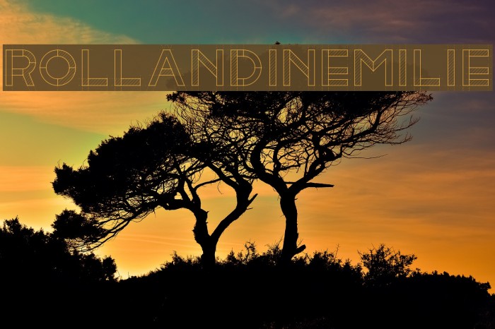 RollandinEmilie Font examples