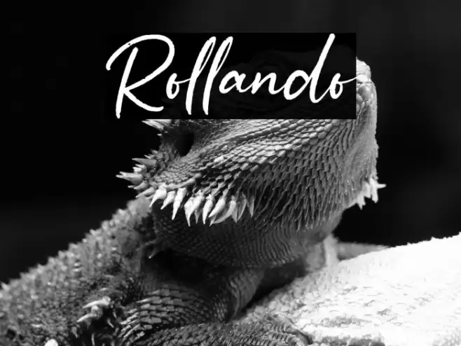 Rollando Font examples