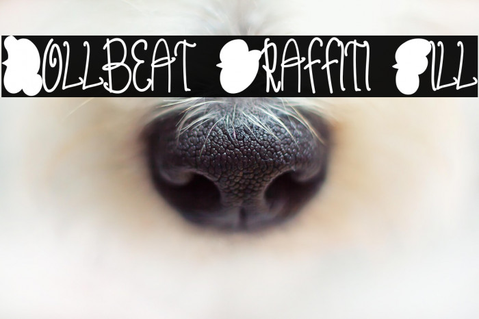 Rollbeat Graffiti Fill Font examples