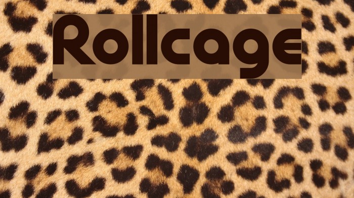 Rollcage Font examples