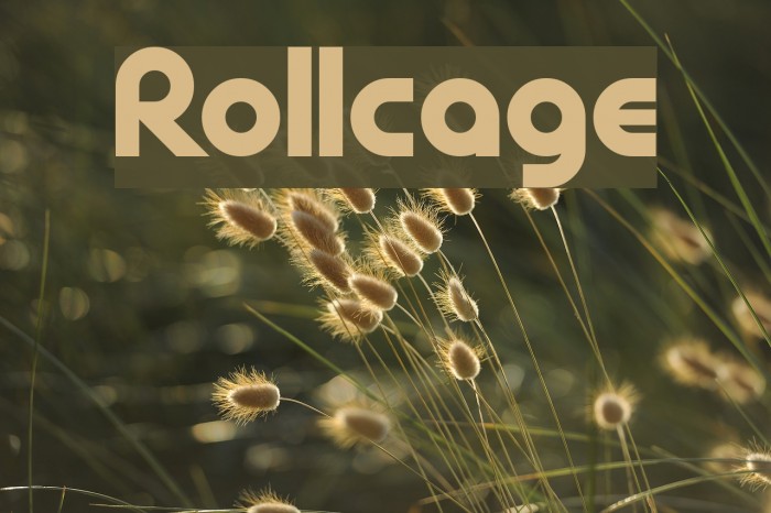 Rollcage Font examples