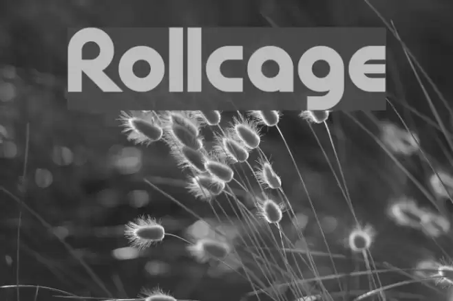Rollcage Font examples