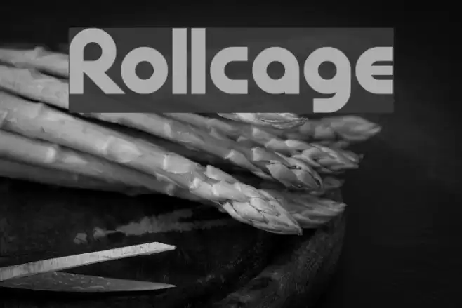 Rollcage Font examples