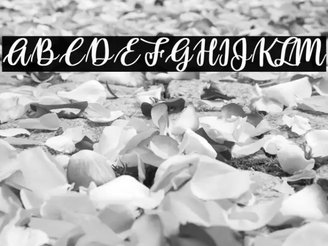 Rollcake Font examples