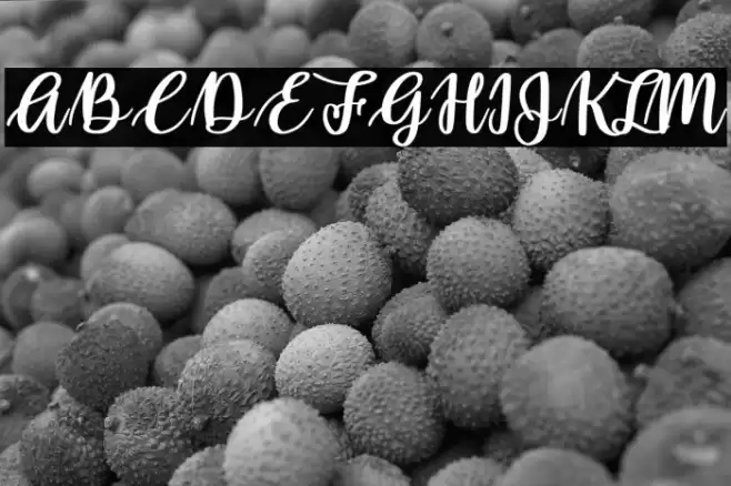 Rollcake Font examples