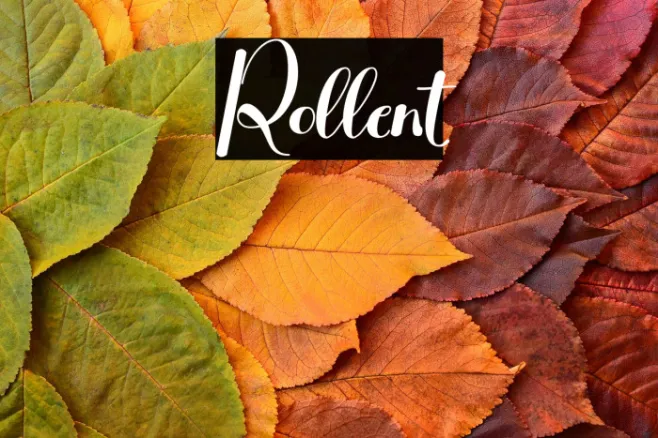 Rollent Example 2