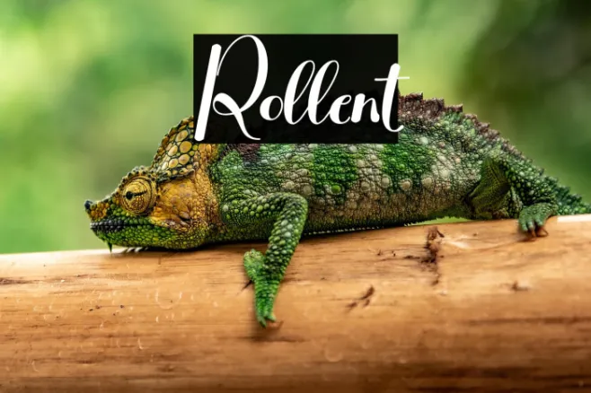 Rollent Example 3
