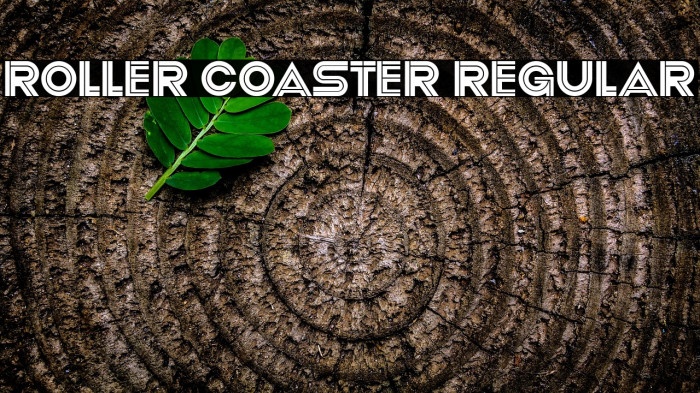 Roller Coaster Regular Example 3