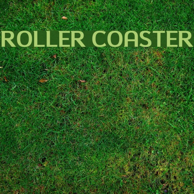 Roller Coaster Example 2