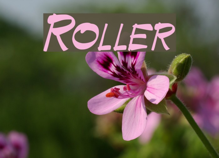 Roller Font examples
