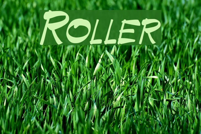 Roller Font examples