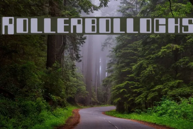 Rollerbollocks Example 3
