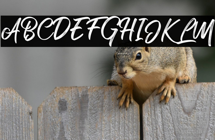 Rollete Qaku Regular Example 3