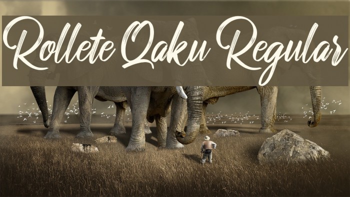 Rollete Qaku Regular Example 2