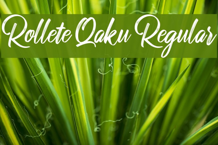 Rollete Qaku Regular Example 3