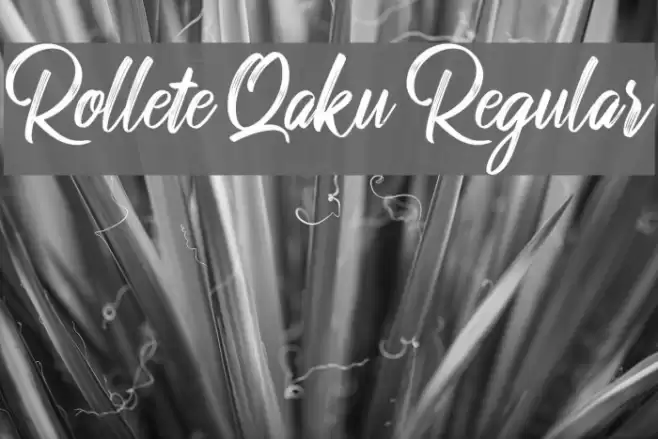 Rollete Qaku Regular Font examples