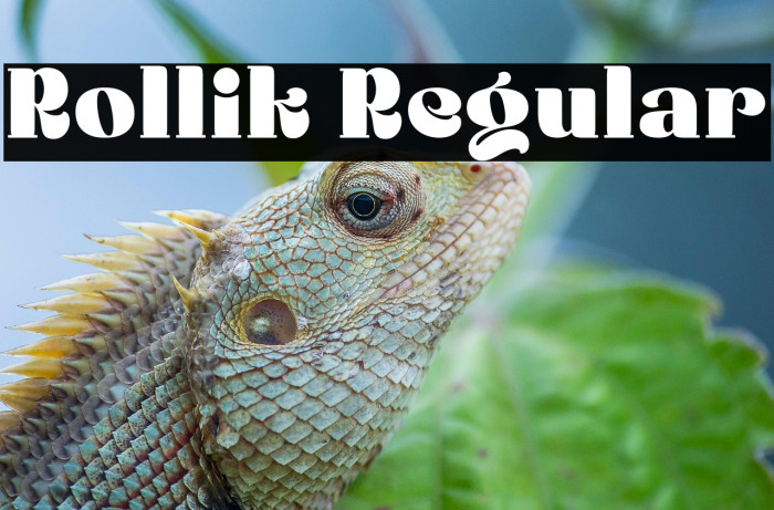 Rollik Regular Example 2