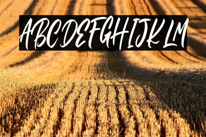 Rolling Back Example 2